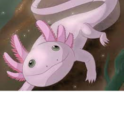 Axolotl HQ