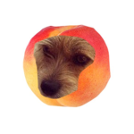 peachy sanctuary