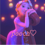 hush pooch