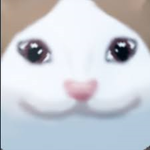 BETA POPCAT