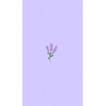The_ lavenders