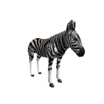 Zebra Shoulder Buddy