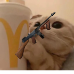 DoloGang