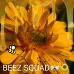 The Be-Beez