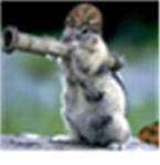 Chipmonk Soldiers