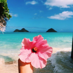 Hawaiian Peeps