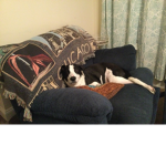 I am a a a a a a a!!!!!!!!!!!!!! King
