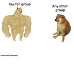Gjv13 fan group