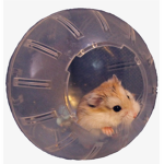 Hamster Planet!
