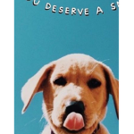 Lovely dog