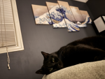 ink meow