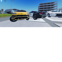 WE RACE! testing private