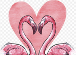 #Flamingo Club(: