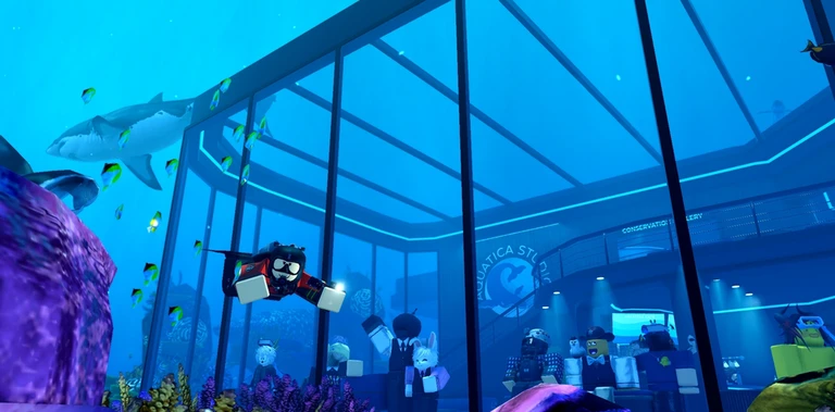 First Update!