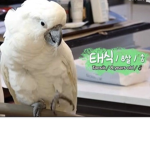 태시기네 가족