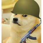 DMG - Doge Military Group