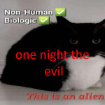 one night the evil