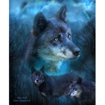 FireWolfz