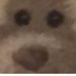 Sudo's Morph Test icon