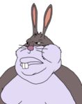 when the.