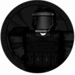 Chaos Insurgency (CI)