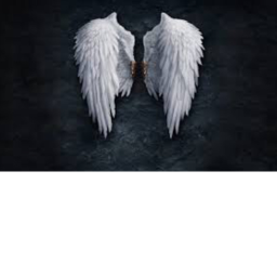 Angel Obby