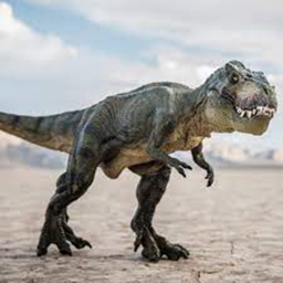 The Dino's Den