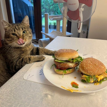 Welcome to my profile!