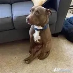 3d !