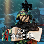 【SY SOF】特种部队
