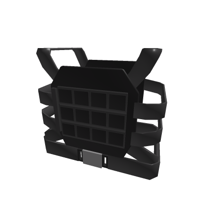 Vest
