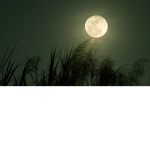 {Dark_Moon}