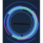 MR FIREBALL FAM