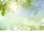 Betsy_group