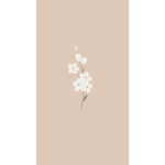 Emmi_lym