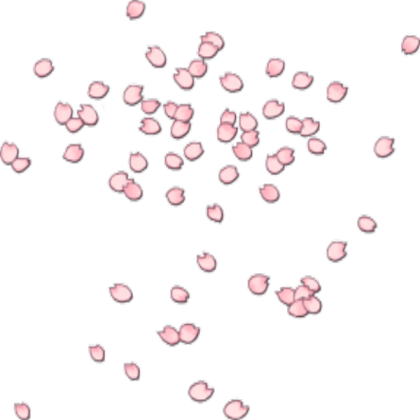 sakura petals w/ transparent background Roblox decal