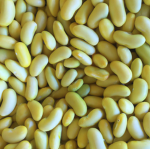 Yellow Fellow Beans