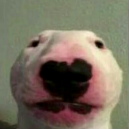 Big Dog Roblox decal