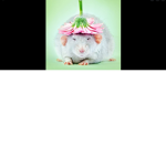 ~Ratsssss~