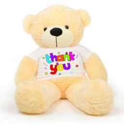 team teddy hangout