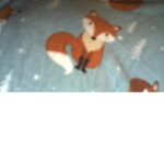ASOME FOR FOXES