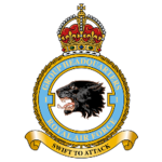 British No.1 Air Force Group
