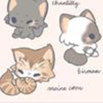 MEOW TT