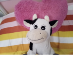 My COWY Group