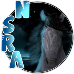 North Shadow Riding Academy
