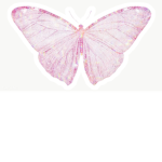 awhxkayla
