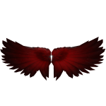 Ruby Heart Wings :)