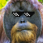 The Orangagang