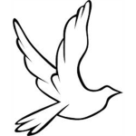 Dove.