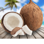 The Coconut Fans
